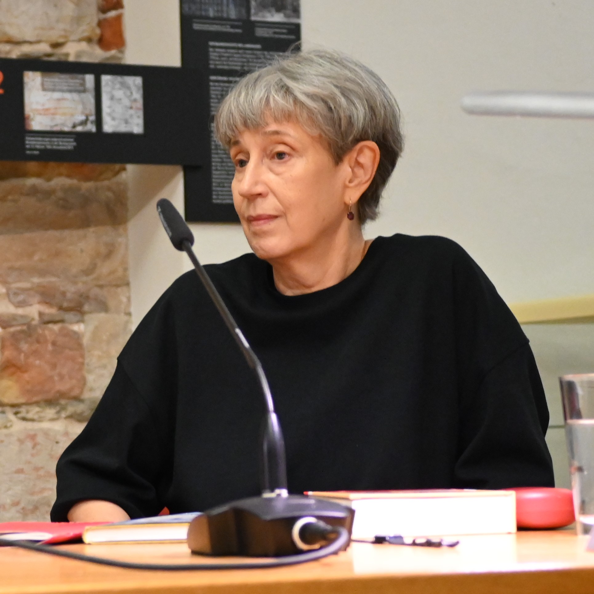 KI generiert: Das Bild zeigt eine Person, die an einem Tisch mit Mikrofon sitzt, vermutlich während einer Diskussion oder Präsentation. Im Hintergrund sind eine Steinwand und einige Informationstafeln zu sehen.